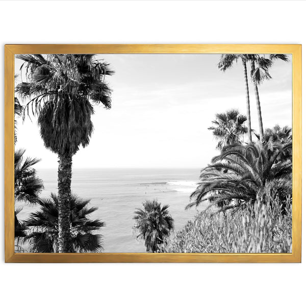 a black and white photo of palm trees and the ocean