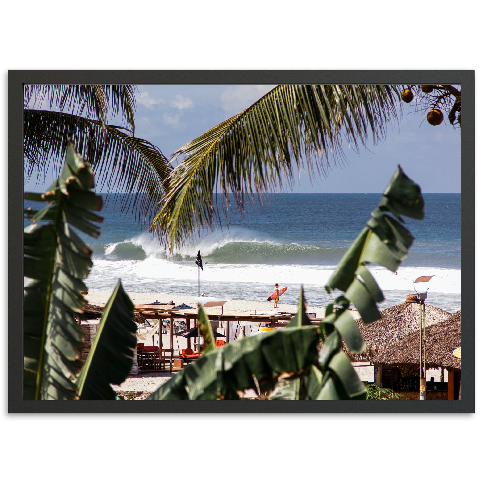 a picture of a beach with a palm tree