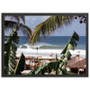 a picture of a beach with a palm tree