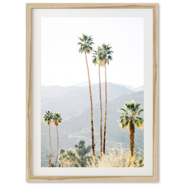 a framed photograph of palm trees with mountains in the background