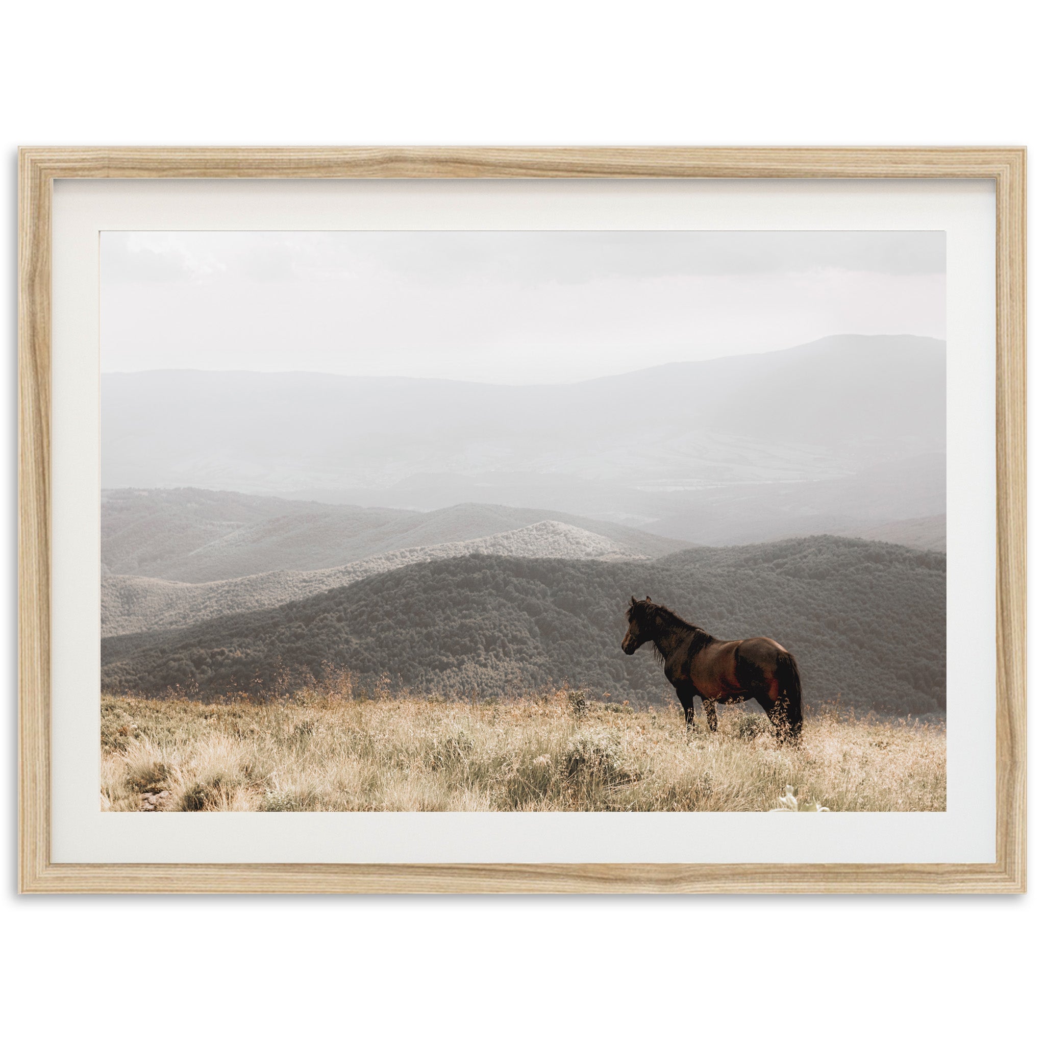 a horse standing in a field with mountains in the background