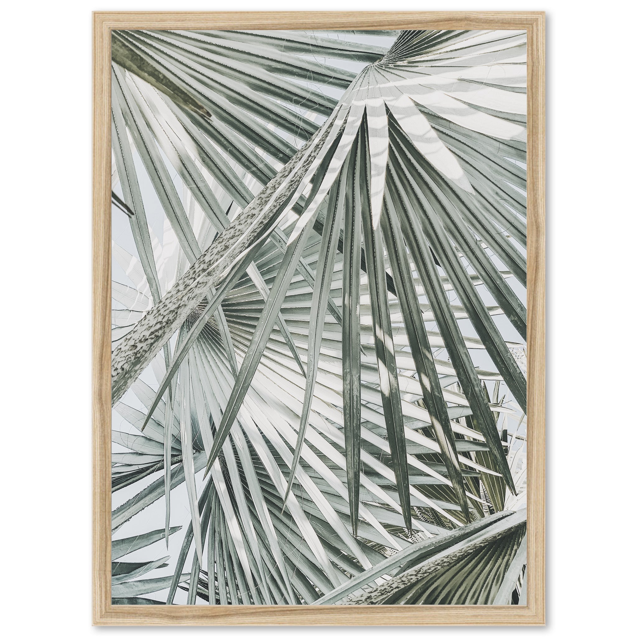 a picture of a palm tree in a wooden frame