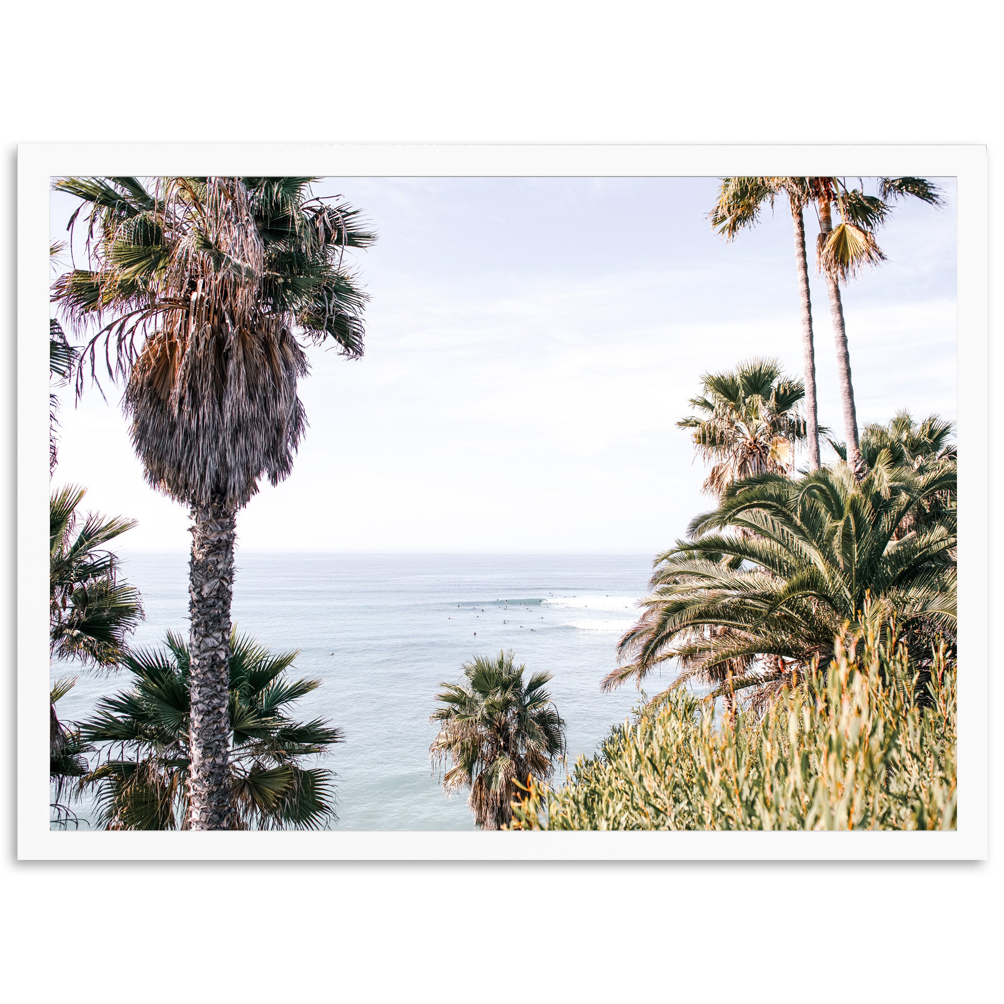 a picture of a beach with palm trees and the ocean in the background