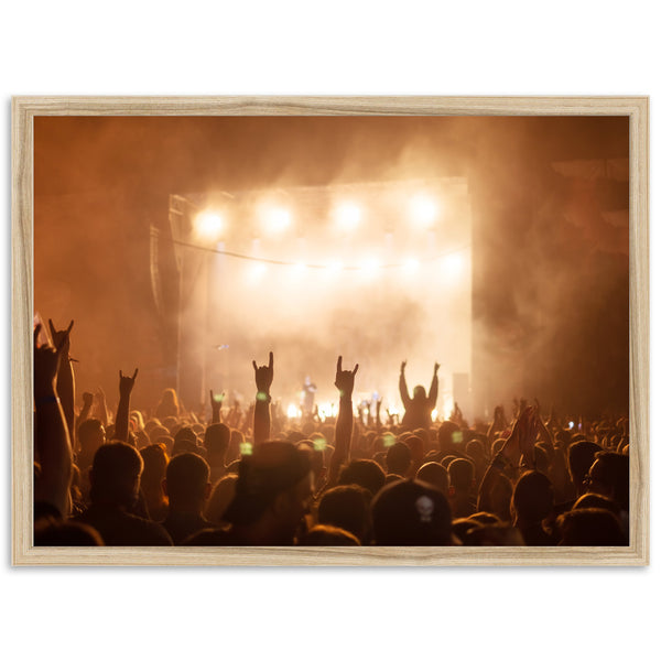 a crowd of people at a concert with their hands in the air