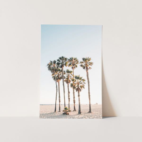 a photo of palm trees on a beach