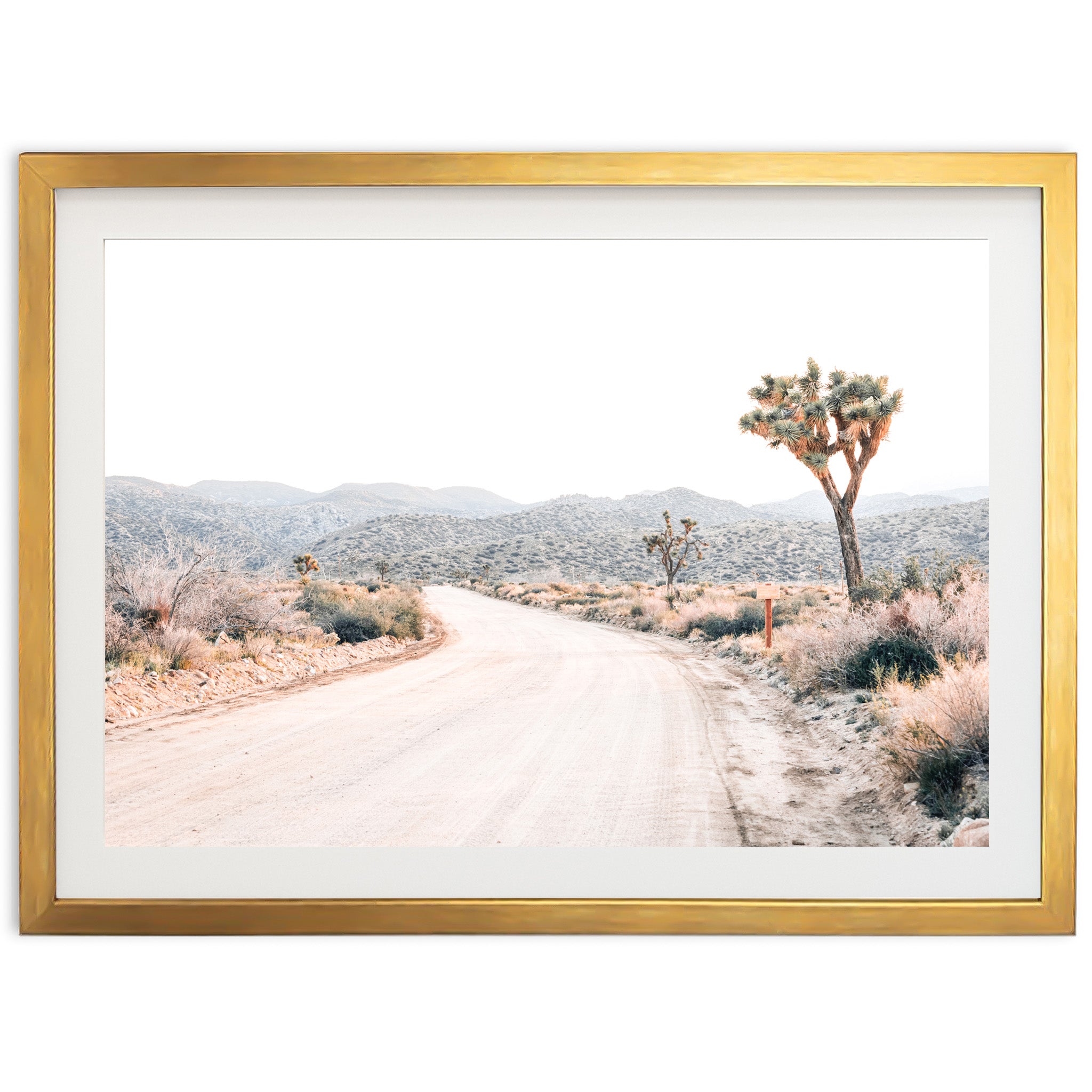 a picture of a desert road with a joshua tree