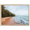 a picture of a beach with palm trees