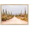 a dirt road surrounded by tall cactus trees