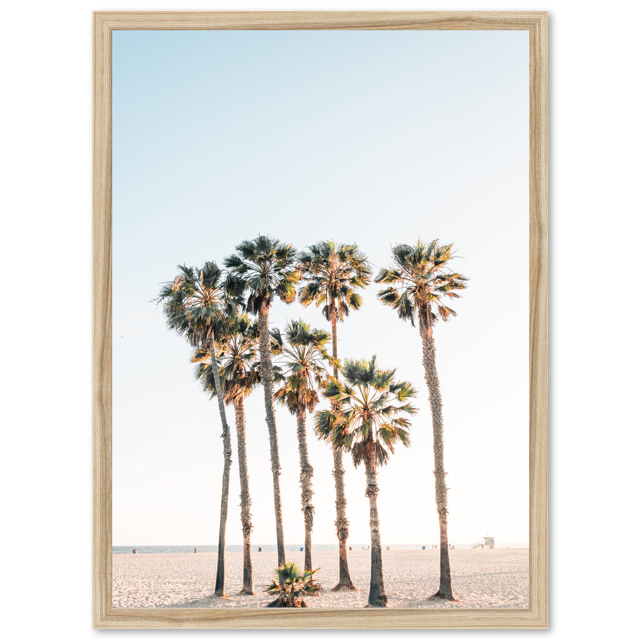 a group of palm trees on a beach