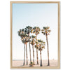 a group of palm trees on a beach