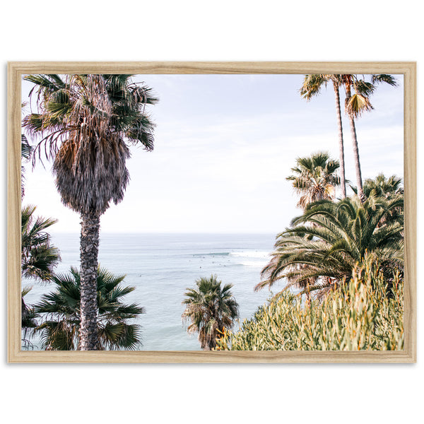 a picture of palm trees and the ocean