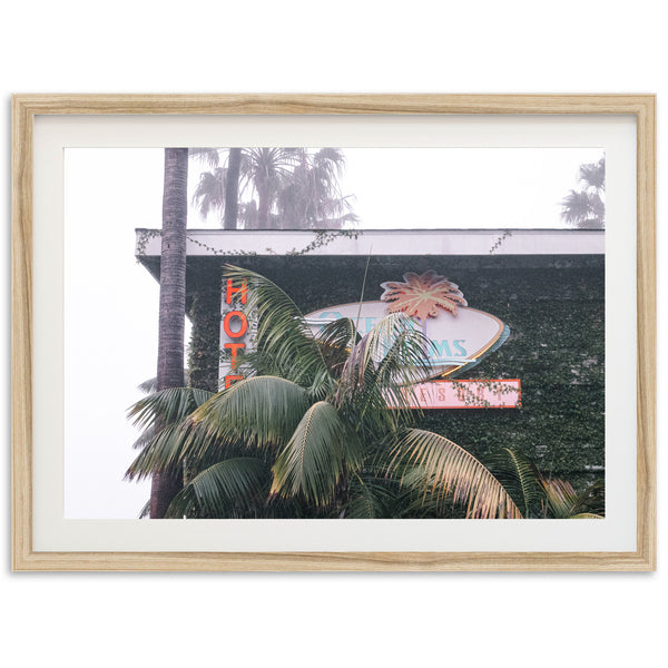 a picture of a neon sign and palm trees