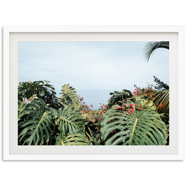 a picture of a tropical scene with palm trees