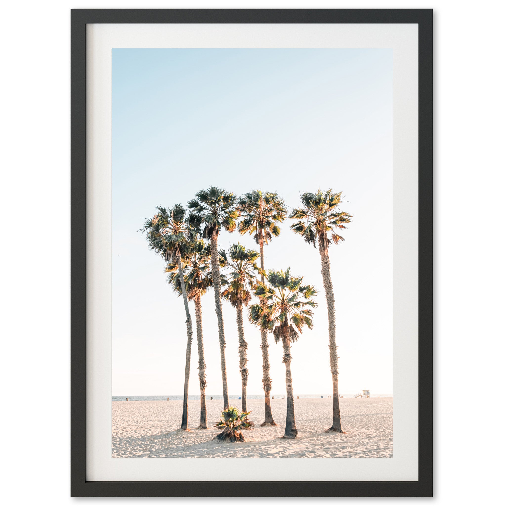 a group of palm trees on a beach