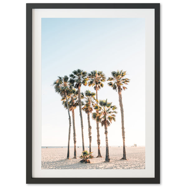 a group of palm trees on a beach