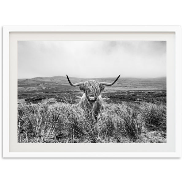 a black and white photo of a long horn cow