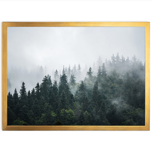 a picture of a forest with fog in the air