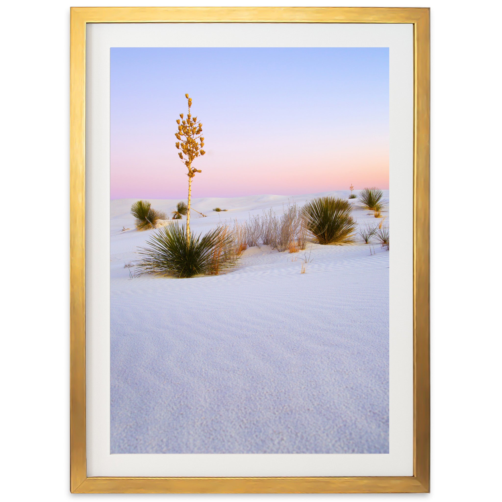 a framed photograph of a desert landscape