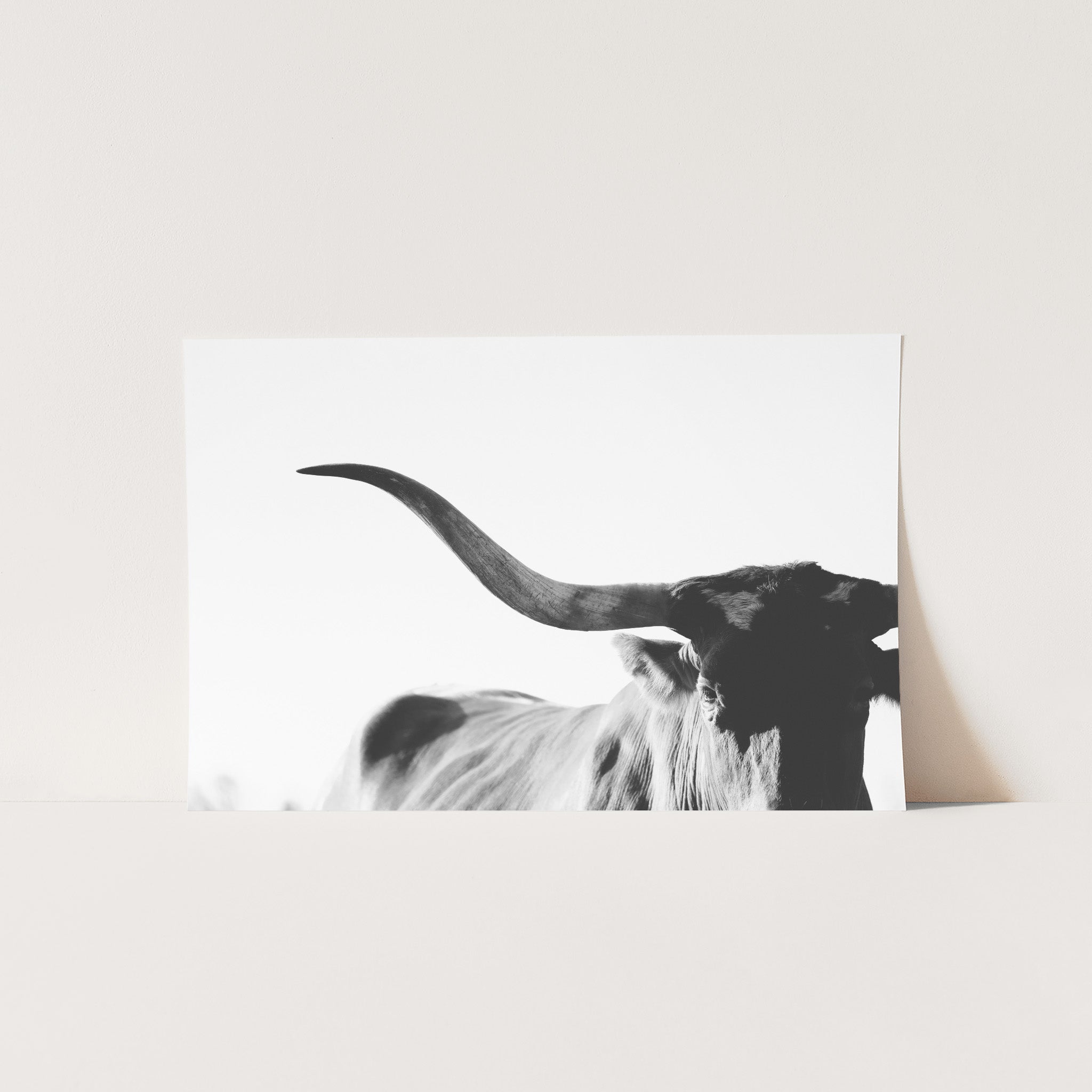 a black and white photo of a cow with long horns