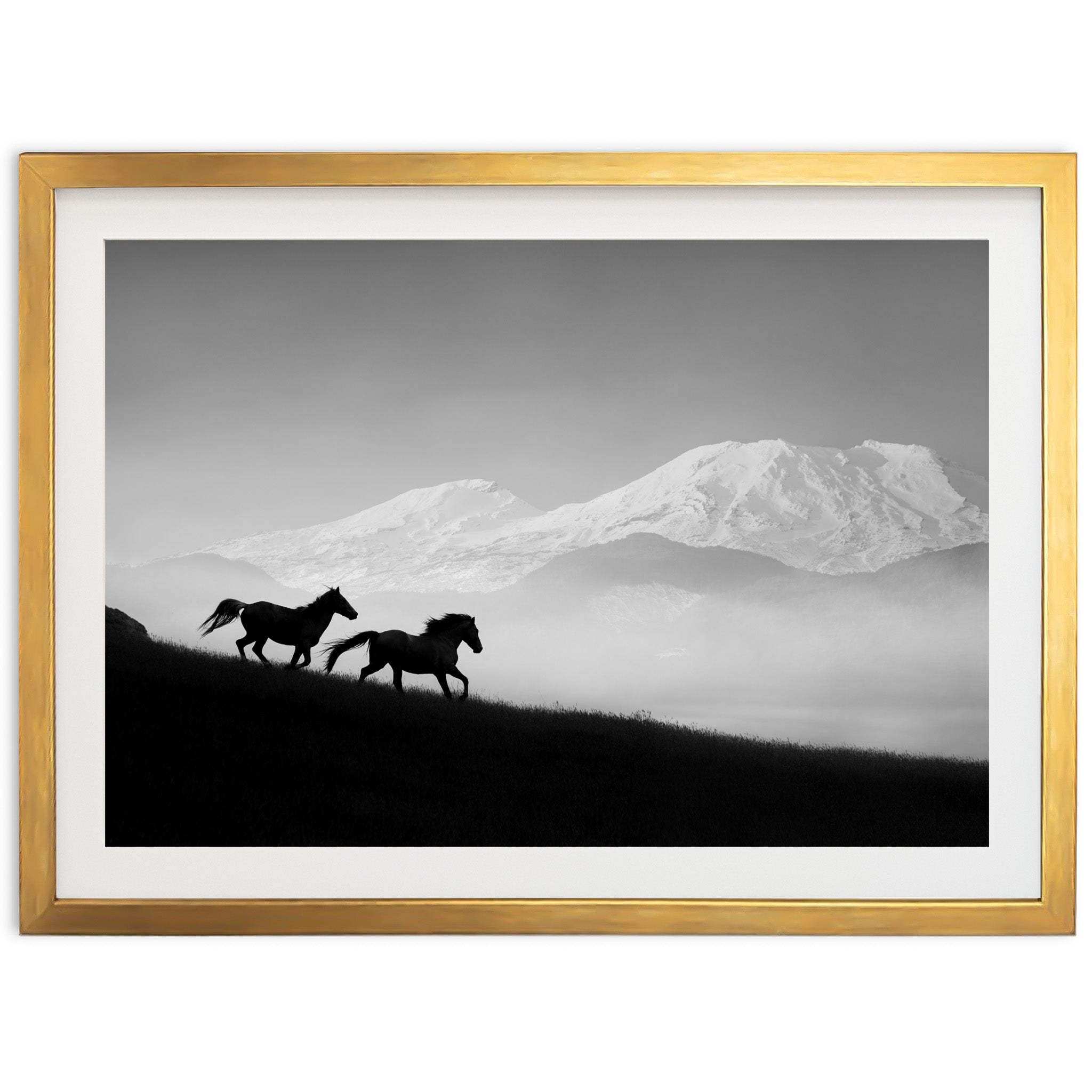 a black and white photo of two horses running