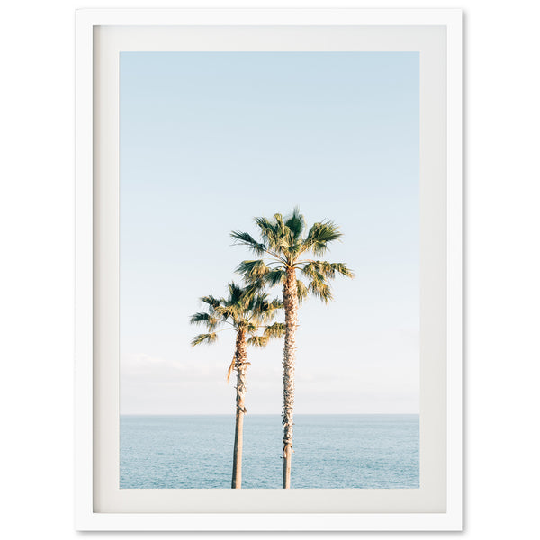 two palm trees in front of a body of water