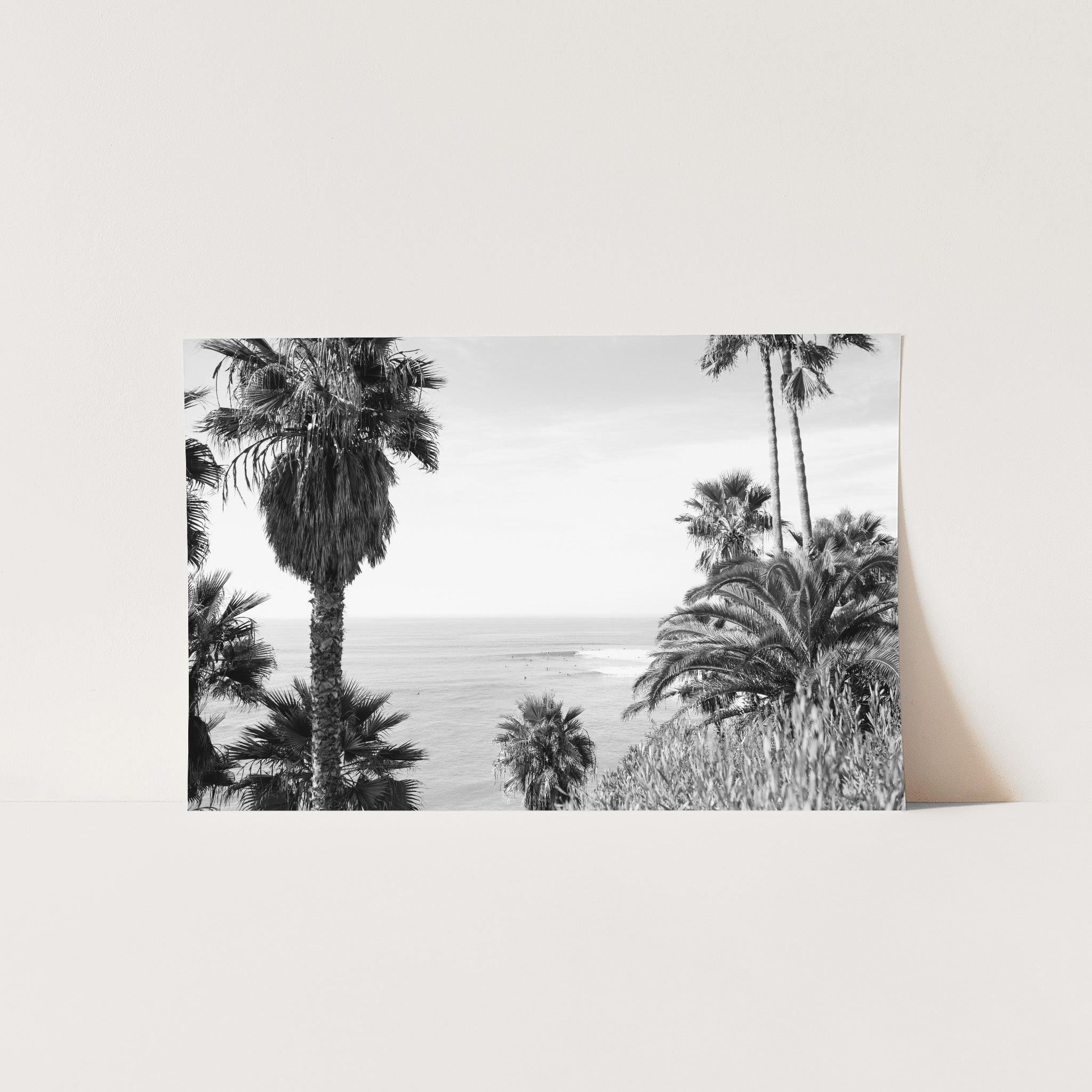 a black and white photo of palm trees and the ocean