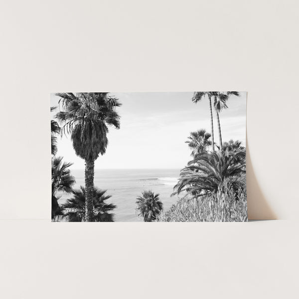 a black and white photo of palm trees and the ocean