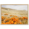 a field of orange flowers with a hill in the background