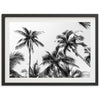 a black and white photo of palm trees