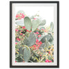 a cactus with red flowers in the background