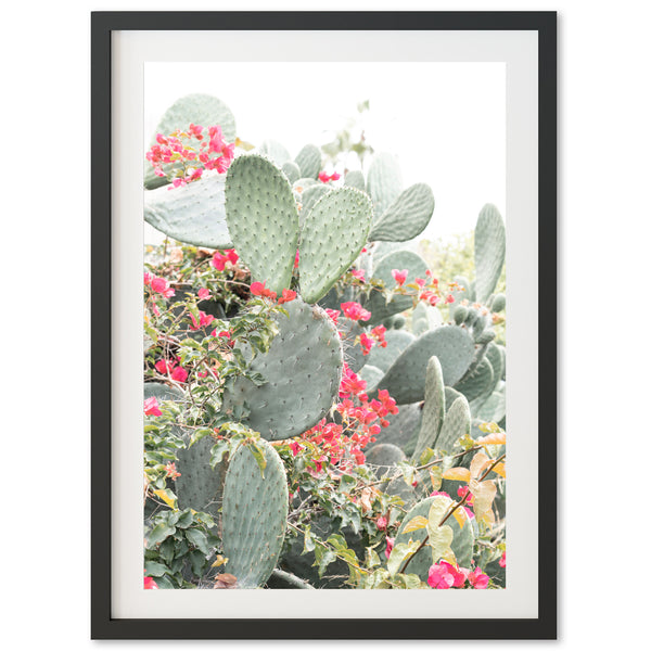 a cactus with red flowers in the background