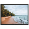 a picture of a beach with palm trees