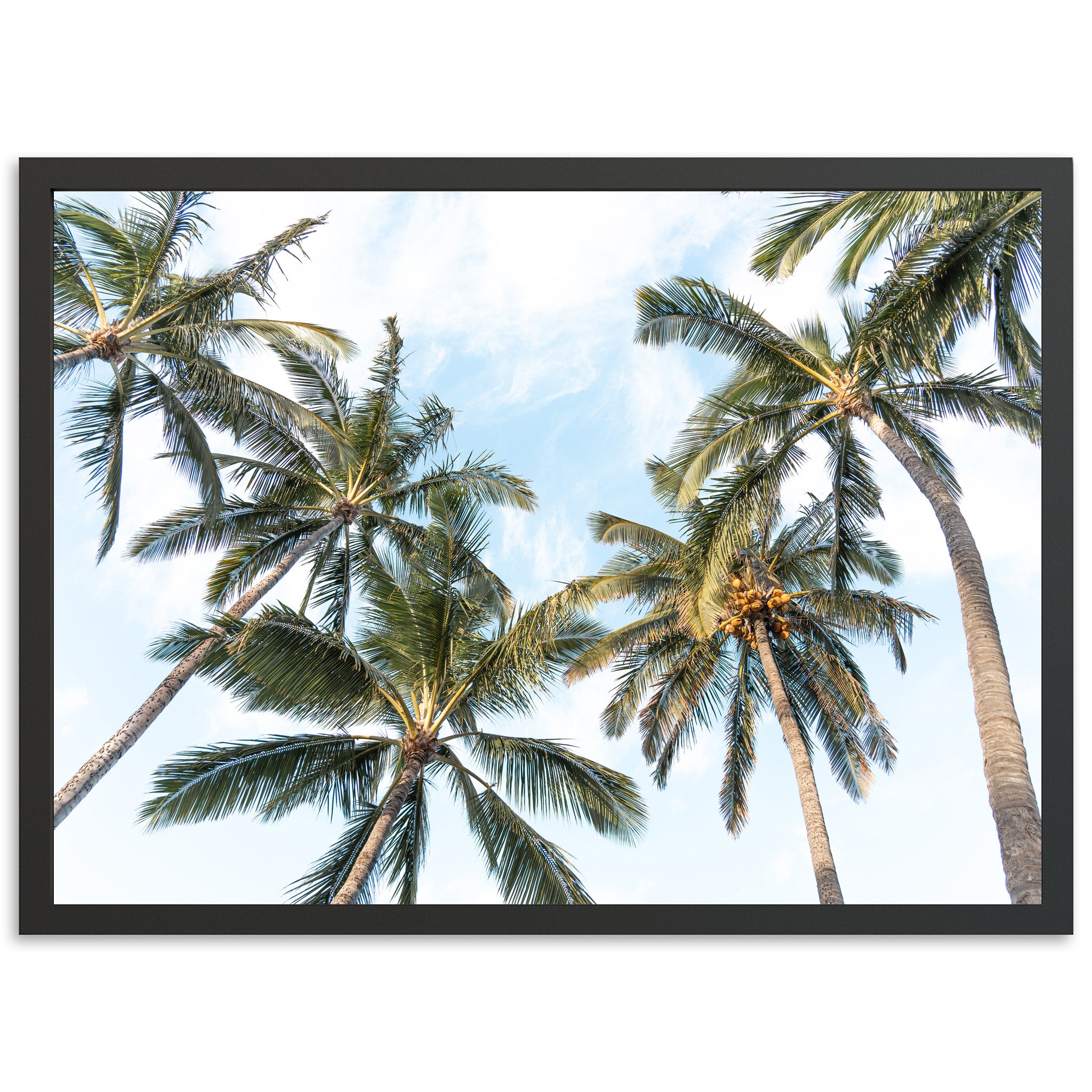 a picture of palm trees against a blue sky