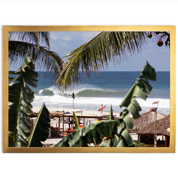 a picture of a beach with a palm tree in the foreground