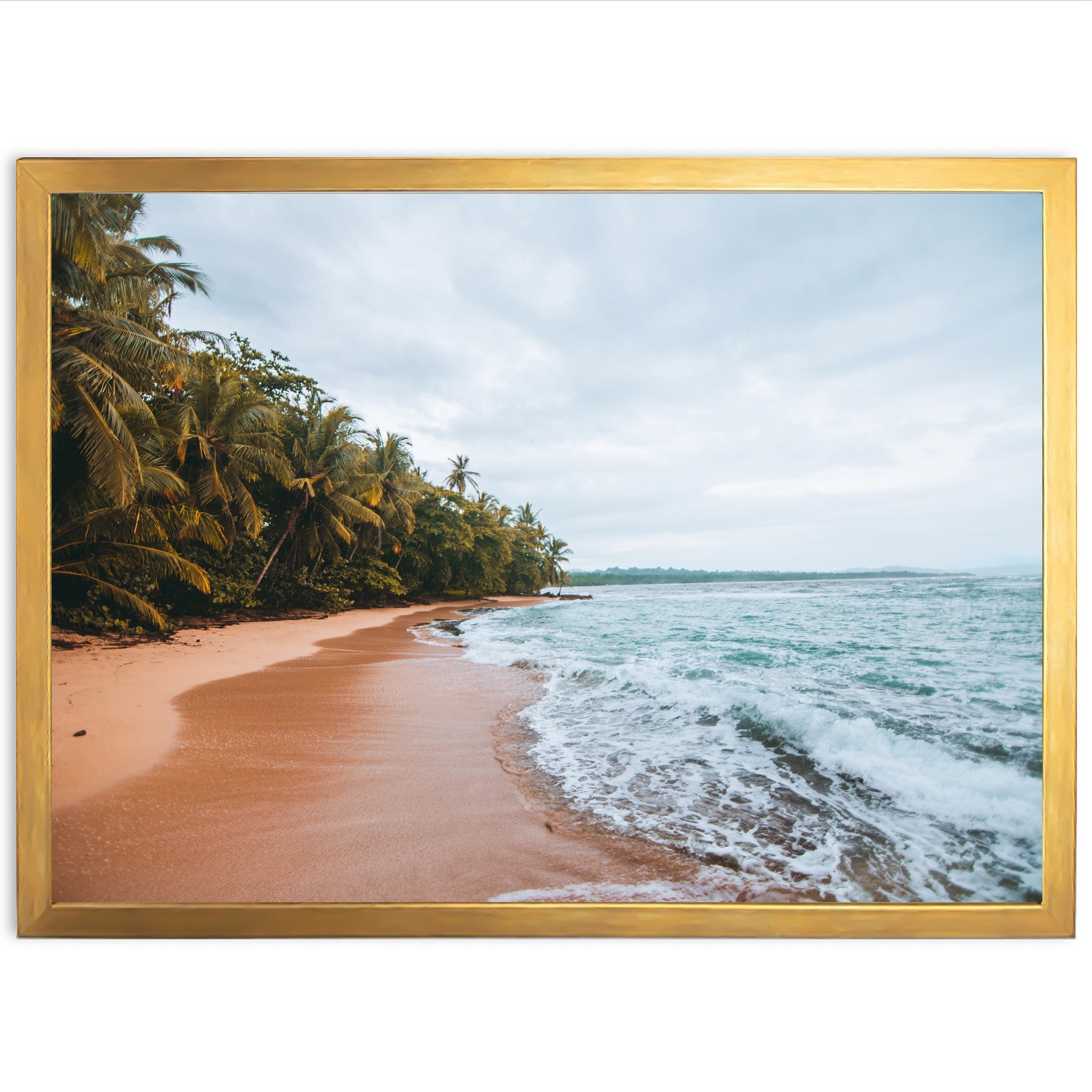 a picture of a beach with palm trees