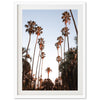 a picture of palm trees against a blue sky