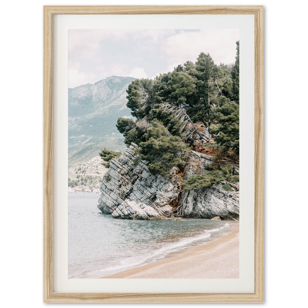 a picture of a beach with trees on it