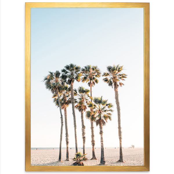 a group of palm trees in front of a blue sky