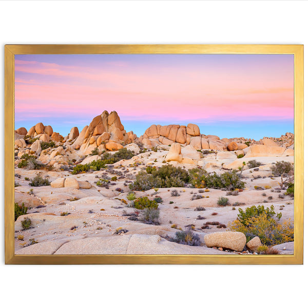 a picture of a desert with rocks and plants