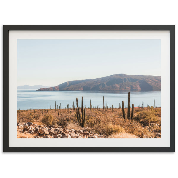 a picture of a desert landscape with a lake and mountains in the background