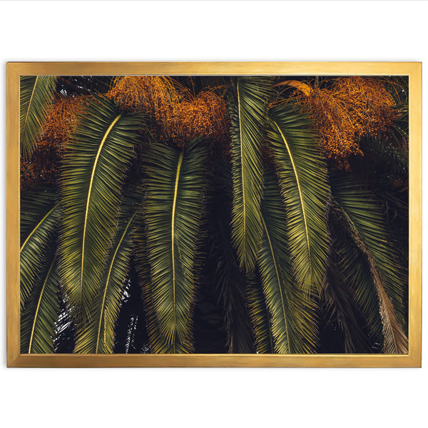 a picture of a palm tree in a gold frame