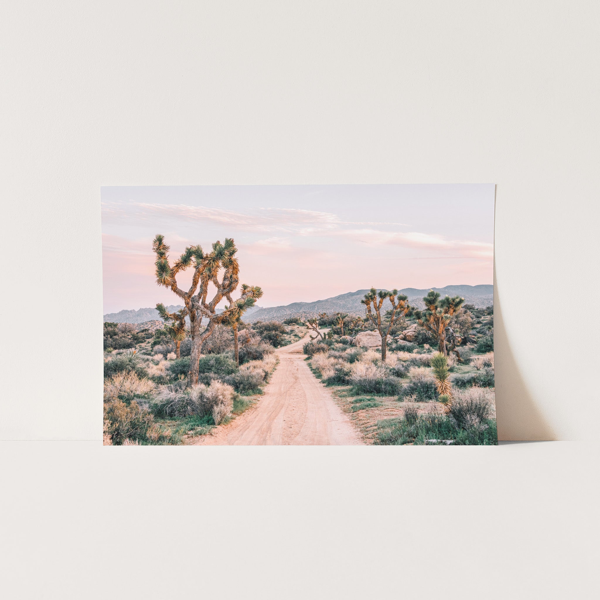 a picture of a dirt road in the desert