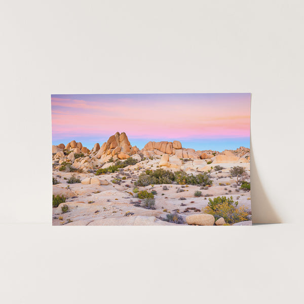 a picture of a desert with rocks and plants