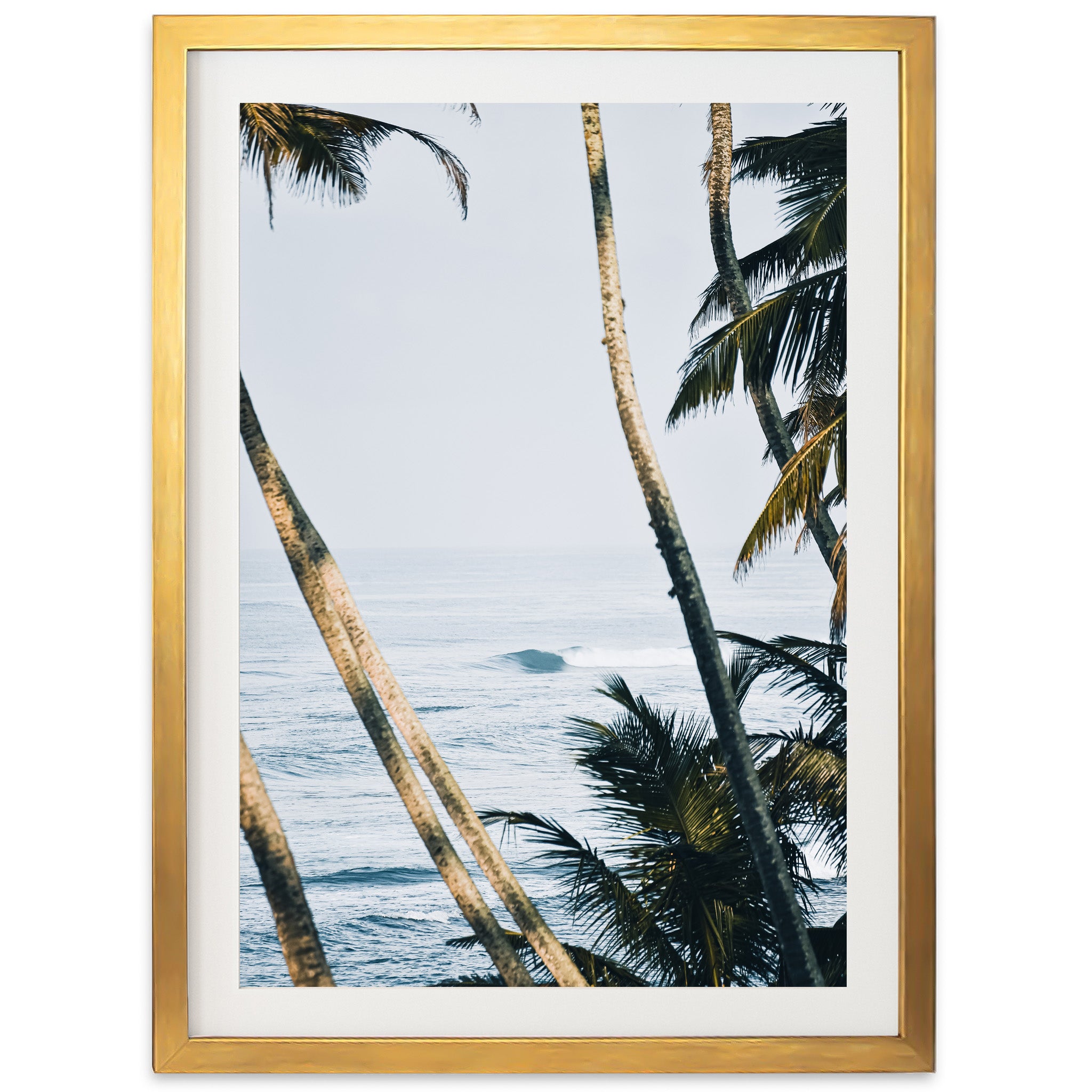 a picture of palm trees and the ocean