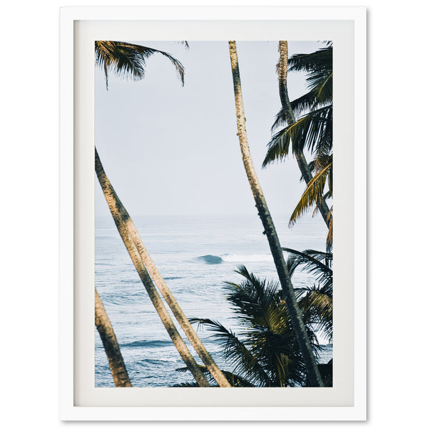 a picture of palm trees and the ocean