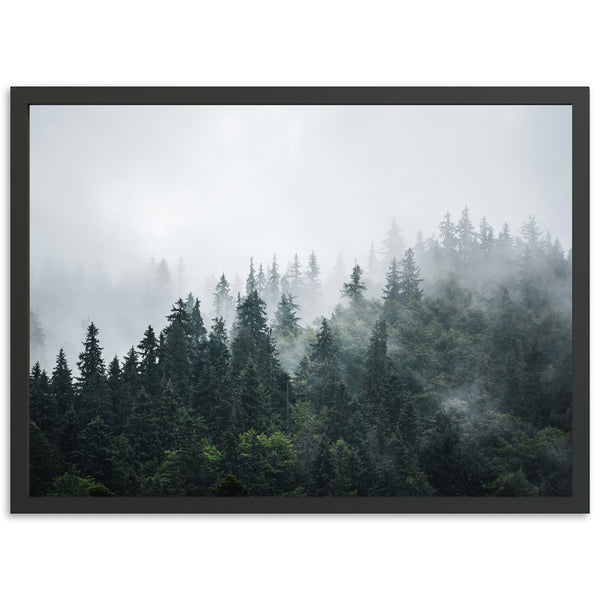 a picture of a forest with fog in the air