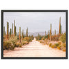 a dirt road surrounded by tall cactus trees