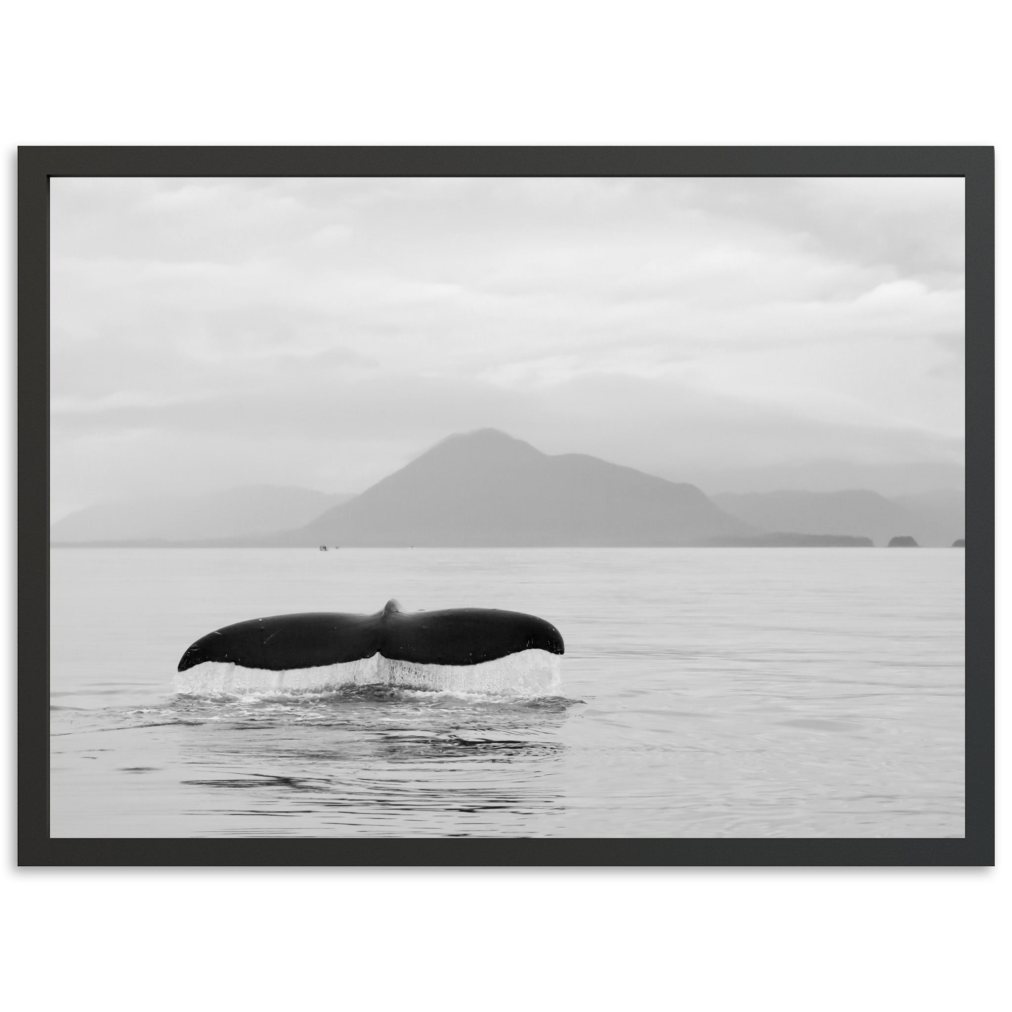 a black and white photo of a whale tail