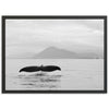 a black and white photo of a whale tail