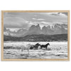 a black and white photo of horses in a field